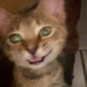 Meet your Posher, Chloe